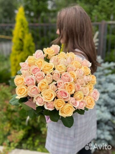 51 роза. Букет голландских роз в Новосибирске