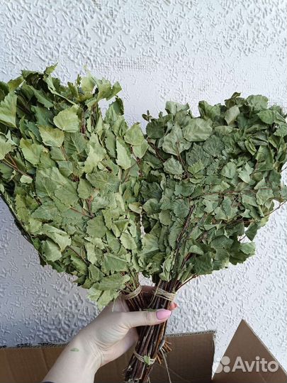 Веник берёзовый