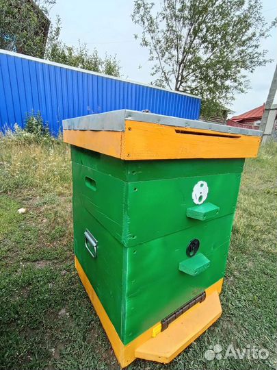 Улей дадан 12