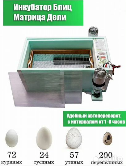 Инкубатор для яиц автоматический Блиц