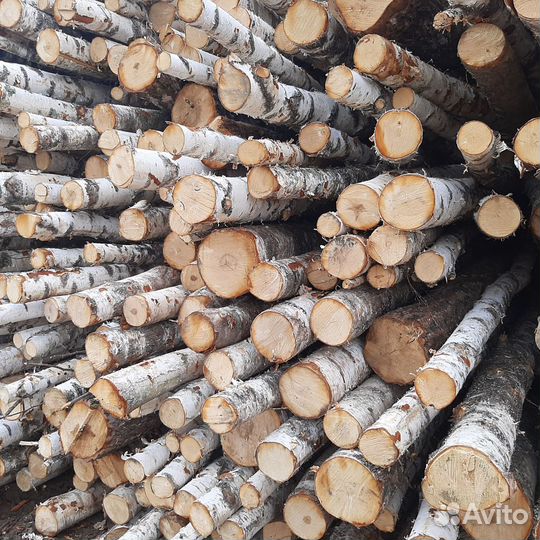 Дрова осина
