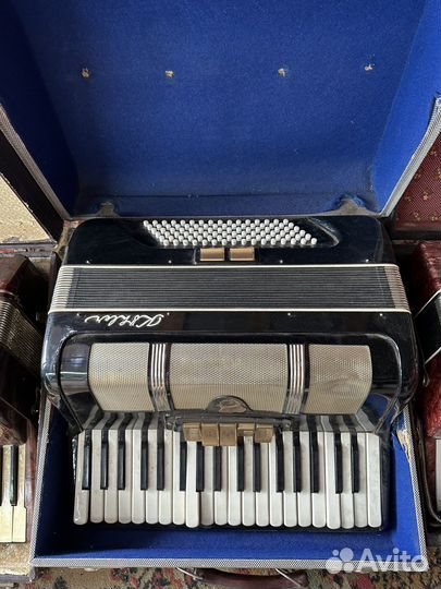 Аккардеоны