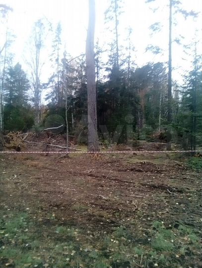 Участок 15 сот. (ИЖС)