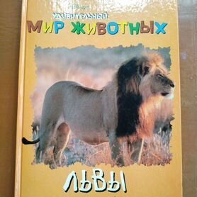 Книга позновательная