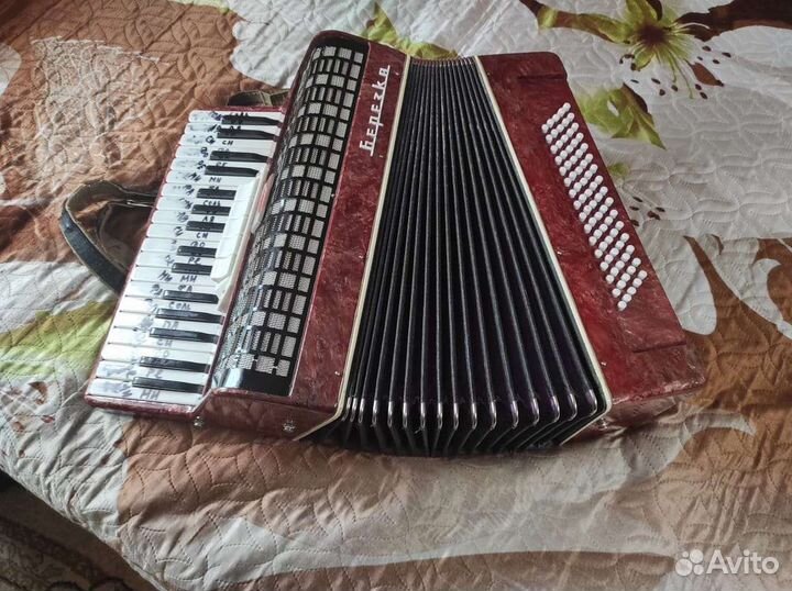 Аккордеон березка