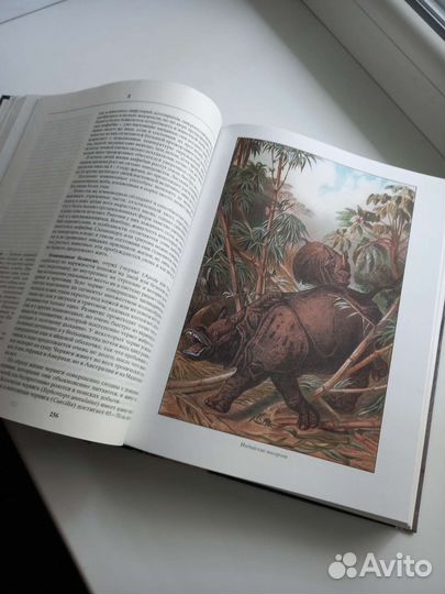 Книга Жизнь животных