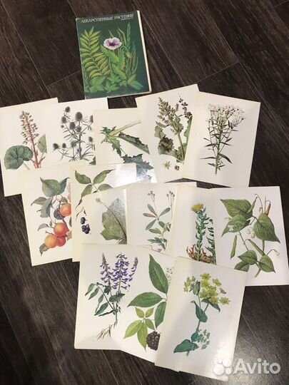 Открытки СССР