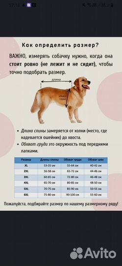 Комбинезон дождевик для собак