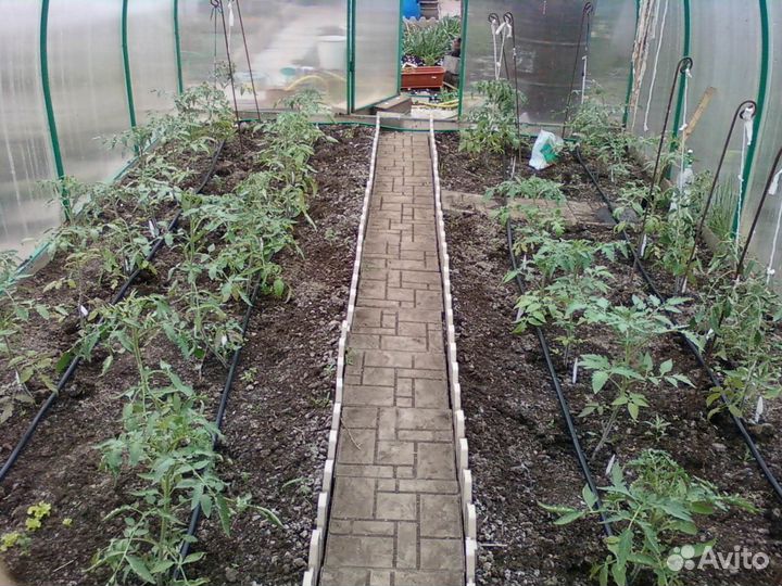 Капельный полив