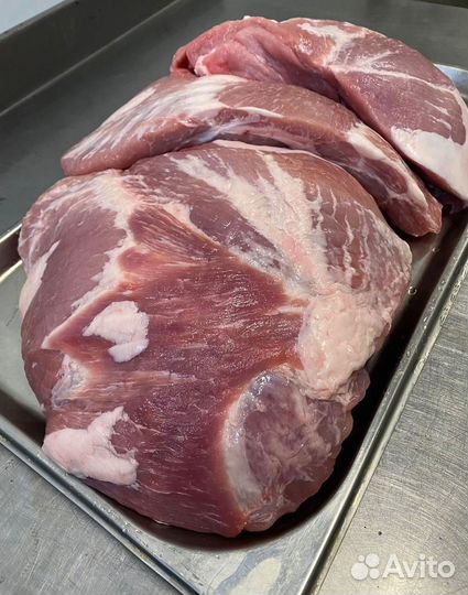 Мясо свинина
