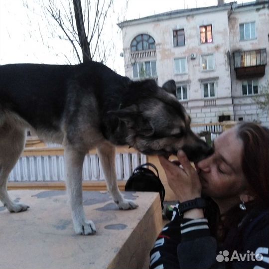 Акси это её имя