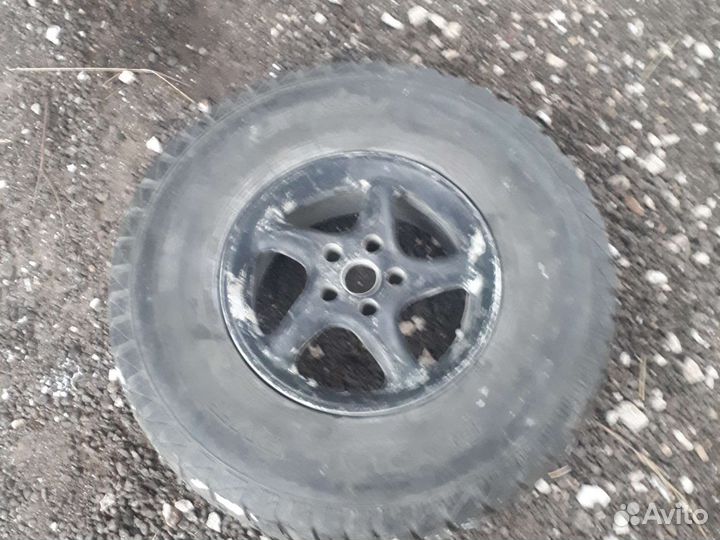 Продам колемо