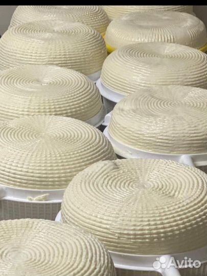 Майонез, сметана, творог, сыры, молоко, масла