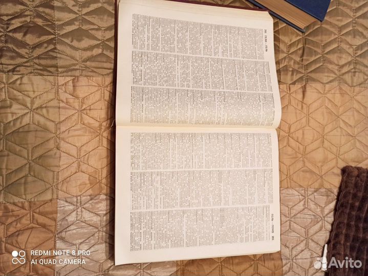 Советский энциклопедический словарь 1986