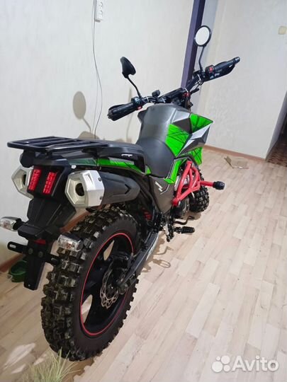 Rockot tekken 250 hound