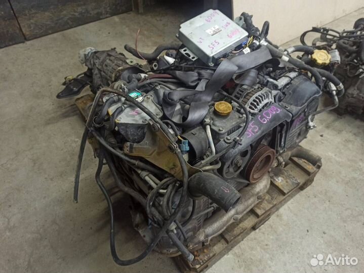 Двигатель Subaru Forester EJ205