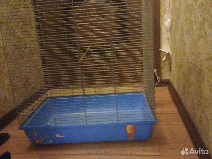 Клетка для грызунов