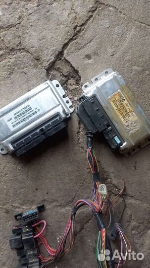 Эбу мозги на ваз