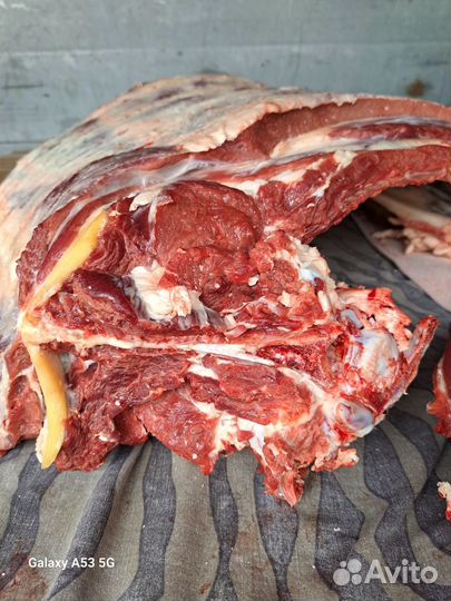 Мясо говядина (телятина)