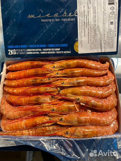 Королевские креветки-лангустины L2