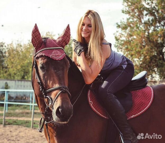 Спортивный конь (лошадь) в аренду + фотосессии