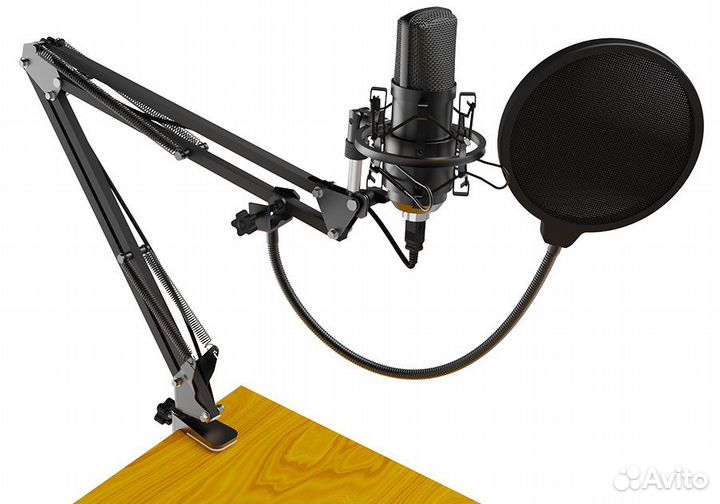 Микрофон Ritmix RDM-169 USB Black