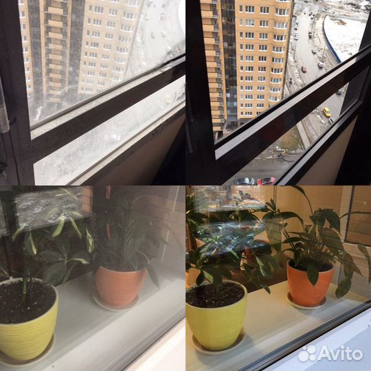 Домработница (профессиональный клининг)