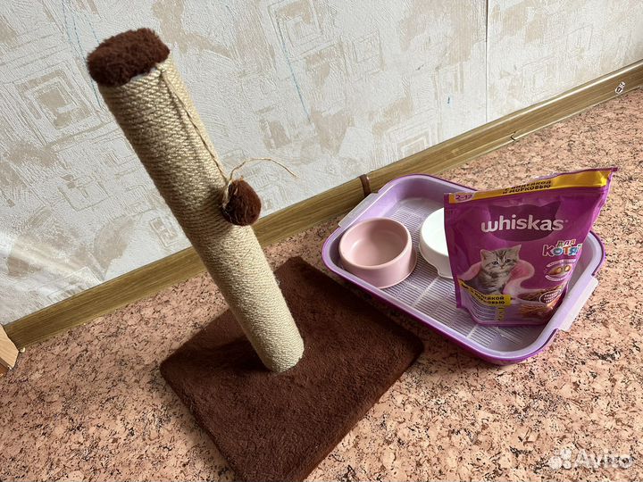 Когтеточка