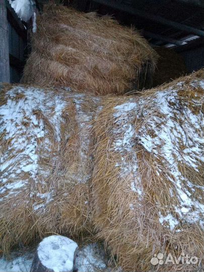 Сено в тюках