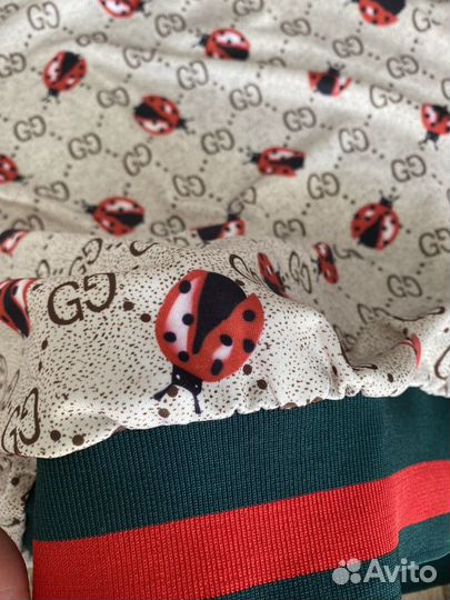 Костюм спортивный Gucci