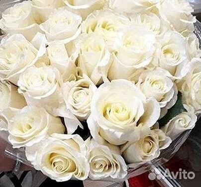 Высокие Розы с Доставкой