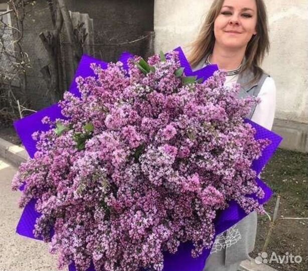 Сирень цветы