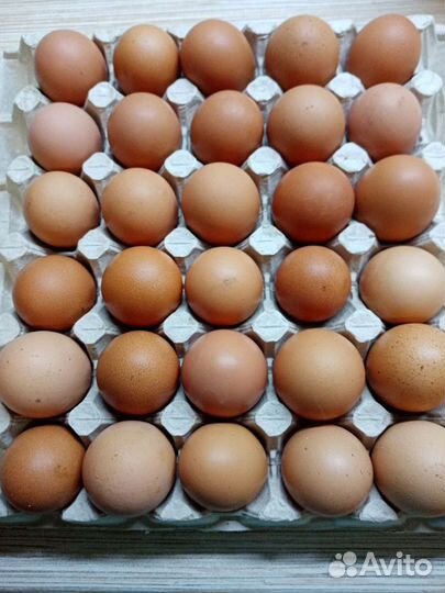 Яйцо куриное домашнее с доставкой