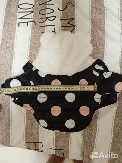 Жилетка для собак