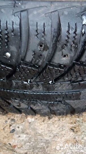 Gislaved Nord Frost II 195/60 R15 88T VW