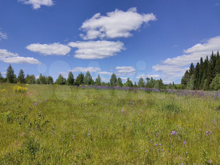 Участок 6 га (СНТ, ДНП)