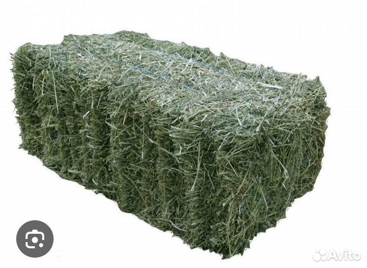 Сено в тюках