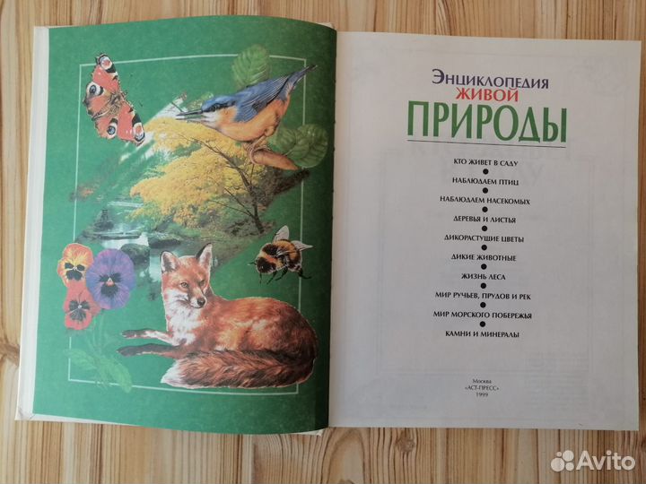 Детская энциклопедия