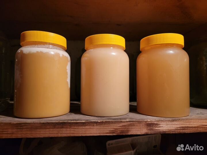 Мёд Алтайский 2023 год. С пасеки