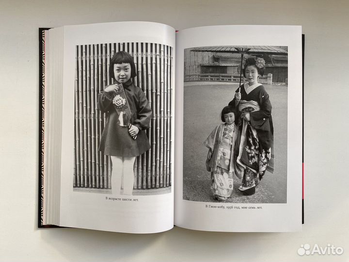 Жизнь гейши. Минэко Ивасаки