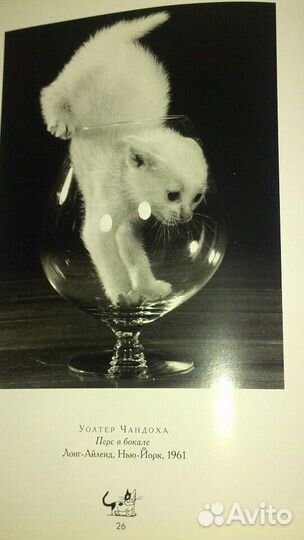 Большая книга кошек. Составитель Ж.К.Суаре