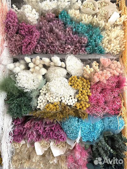 Сухоцветы Пампасная трава (кортадерия)