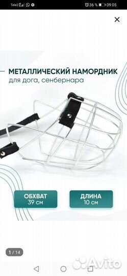 Намордник для собак