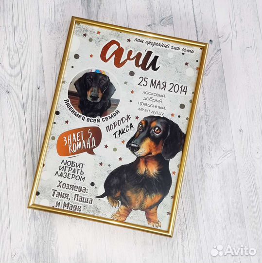 Метрика для животных