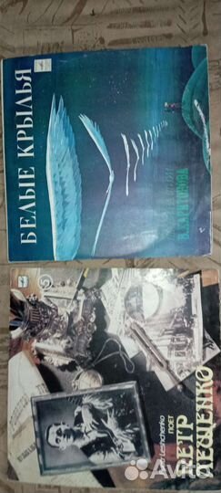 Виниловые пластинки