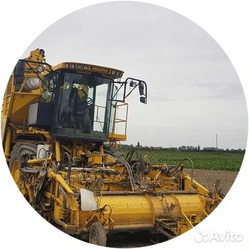 Комбайн Ropa Maschinenbau Euro-Tiger V8-3, 2011