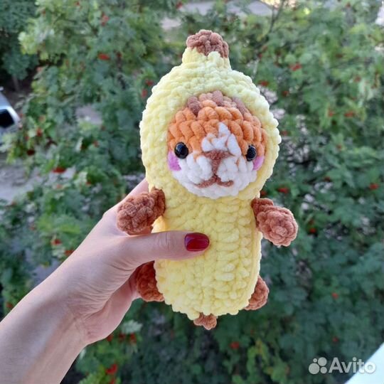 Кот в банане