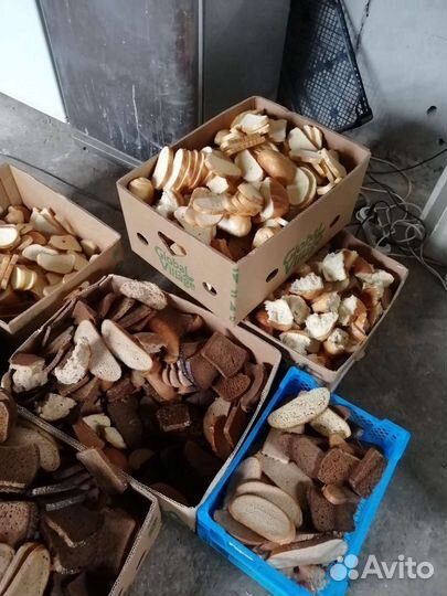 Хлеб молочка мясные продукты для животных