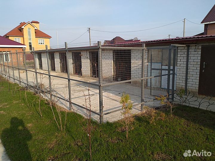 Гостиница для собак