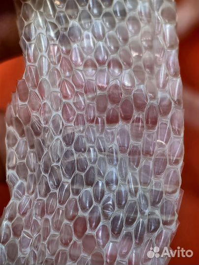 Выползок змеи для маникюра